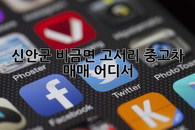 신안군 비금면 고서리 중고차 매매, 어디서?