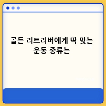 골든 리트리버에게 딱 맞는 운동 종류는