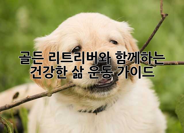 골든 리트리버와 함께하는 건강한 삶: 운동 가이드