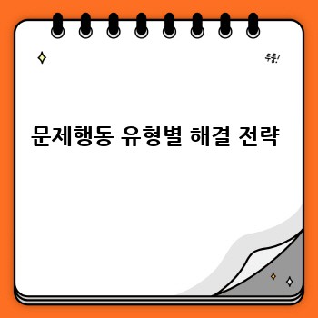문제행동 유형별 해결 전략
