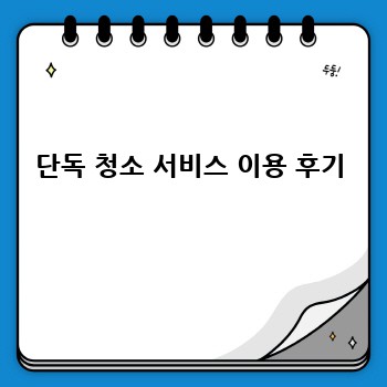 단독 청소 서비스 이용 후기