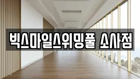 빅스마일스위밍풀 소사점