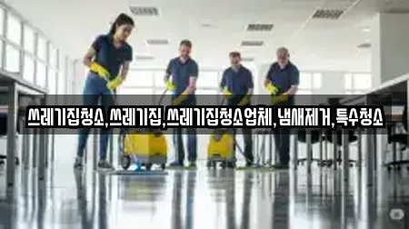 쓰레기집청소,쓰레기집,쓰레기집청소업체,냄새제거,특수청소