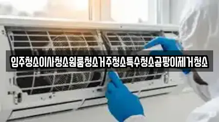 입주청소이사청소원룸청소거주청소특수청소곰팡이제거청소
