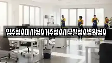 입주청소이사청소거주청소사무실청소병원청소