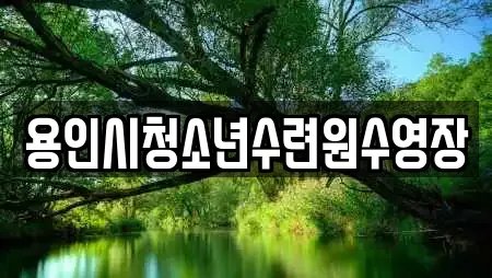 용인시청소년수련원수영장