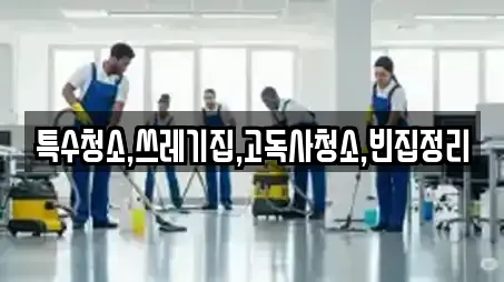 특수청소,쓰레기집,고독사청소,빈집정리