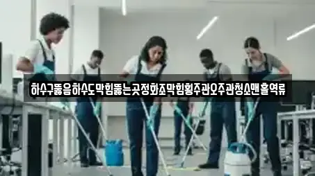 하수구뚫음하수도막힘뚫는곳정화조막힘횡주관오주관청소맨홀역류