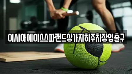 이시아에이스스파랜드상가지하주차장입출구