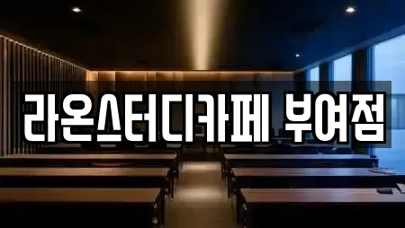라온스터디카페 부여점