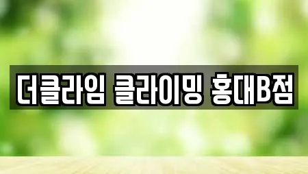 더클라임 클라이밍 홍대B점
