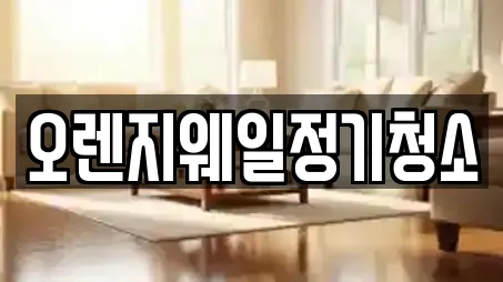 오렌지웨일정기청소