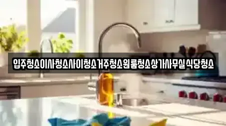 입주청소이사청소사이청소거주청소원룸청소상가사무실식당청소