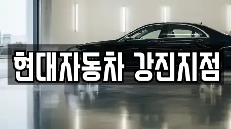 현대자동차 강진지점