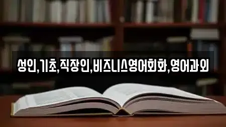 성인,기초,직장인,비즈니스영어회화,영어과외