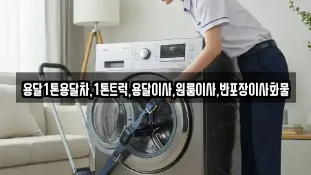 용달1톤용달차,1톤트럭,용달이사,원룸이사,반포장이사화물