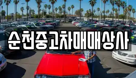 순천중고차매매상사