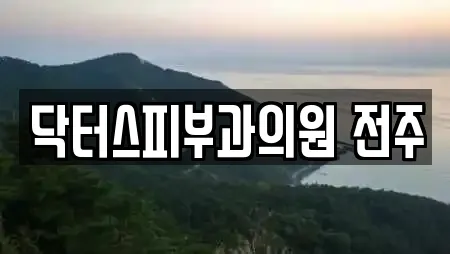 닥터스피부과의원 전주