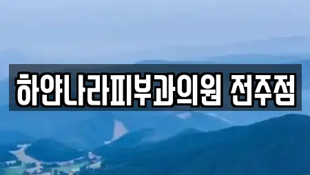 하얀나라피부과의원 전주점