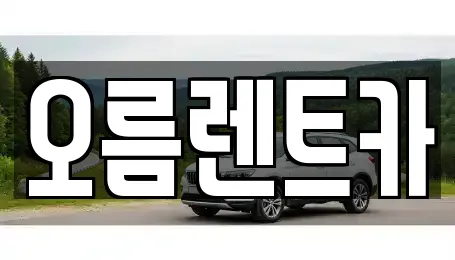 오름렌트카