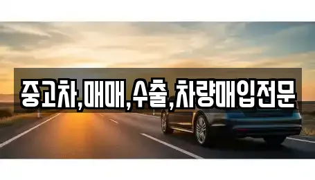중고차,매매,수출,차량매입전문