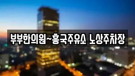 부부한의원~흥국주유소 노상주차장