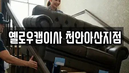 옐로우캡이사 천안아산지점