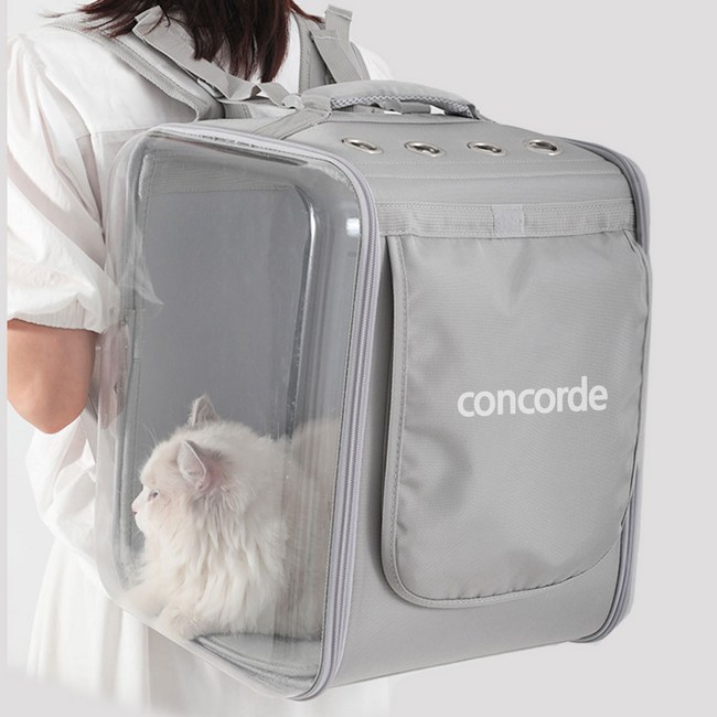 강아지 가방 백팩 배낭 완벽 분석 & 구매 꿀팁: 댕댕이와 편안한 외출을 위해!