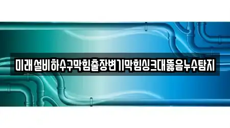미래설비하수구막힘출장변기막힘싱크대뚫음누수탐지
