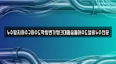 누수탐지하수구하수도막힘변기씽크대뚫음뚫어수도설비누수전문