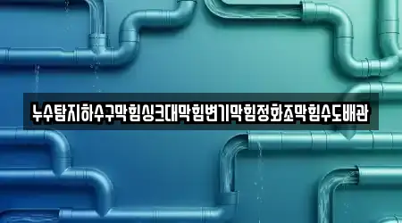 누수탐지하수구막힘싱크대막힘변기막힘정화조막힘수도배관