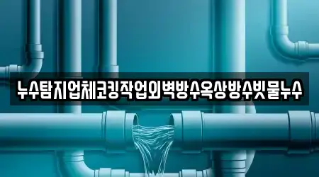 누수탐지업체코킹작업외벽방수옥상방수빗물누수