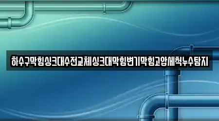 하수구막힘싱크대수전교체싱크대막힘변기막힘고압세척누수탐지