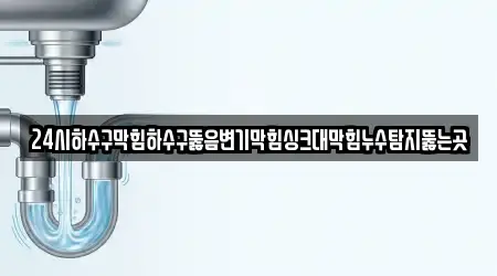 24시하수구막힘하수구뚫음변기막힘싱크대막힘누수탐지뚫는곳