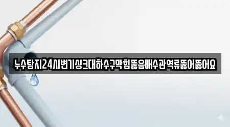 누수탐지24시변기싱크대하수구막힘뚫음배수관역류뚫어뚫어요