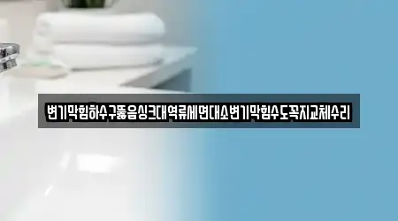 변기막힘하수구뚫음싱크대역류세면대소변기막힘수도꼭지교체수리