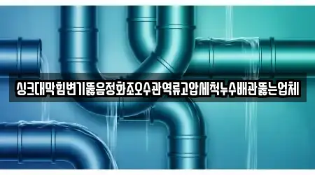 싱크대막힘변기뚫음정화조오수관역류고압세척누수배관뚫는업체