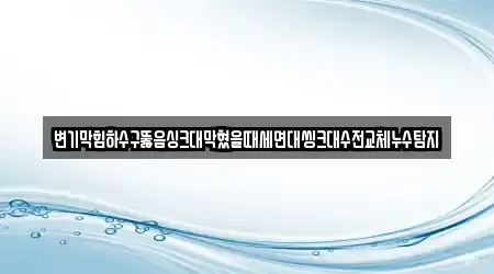 변기막힘하수구뚫음싱크대막혔을때세면대씽크대수전교체누수탐지