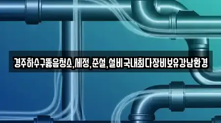 경북 경주시 동부동의 하수구뚫음,변기막힘,누수,싱크대막힘,누수탐지 10곳 리스트