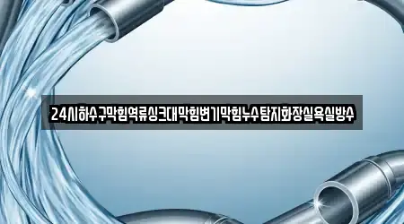 변기막힘,누수,싱크대뚫음,하수구막힘,하수구뚫음 9개 업체 경상남도 김해 안동 위치