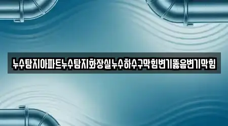 누수탐지아파트누수탐지화장실누수하수구막힘변기뚫음변기막힘