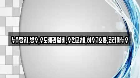 누수탐지,방수,수도배관설비,수전교체,하수구소통,코리아누수