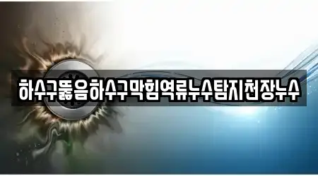 하수구뚫음하수구막힘역류누수탐지천장누수