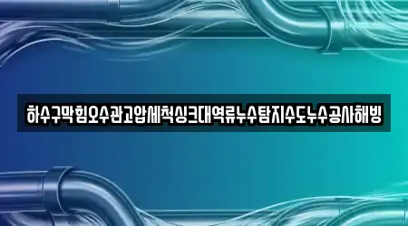 하수구막힘오수관고압세척싱크대역류누수탐지수도누수공사해빙