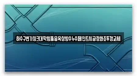 하수구변기싱크대막힘뚫음옥상방수누수페인트시공정화조뚜껑교체