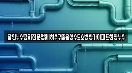 달인누수탐지전문업체하수구뚫음상수도소방상가아파트천장누수