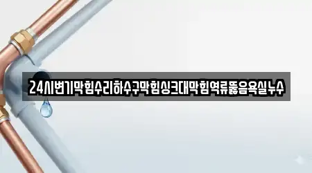 24시변기막힘수리하수구막힘싱크대막힘역류뚫음욕실누수