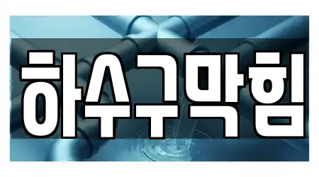 교동 하수구막힘 전문 16