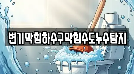 변기막힘하수구막힘수도누수탐지