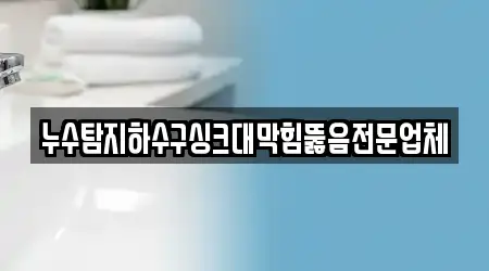 누수탐지하수구싱크대막힘뚫음전문업체